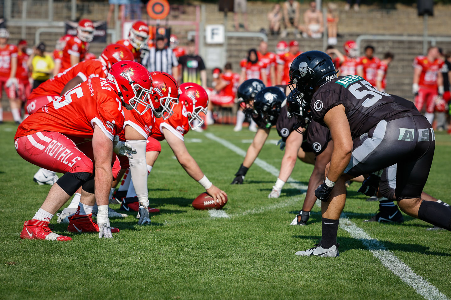 Berlin Rebels erleiden Niederlage vor heimischer Kulisse gegen Potsdam Royals - Foto: Christian Gosslar