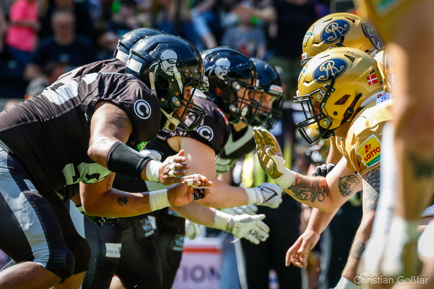 Dresden gegen Berlin: GFL-Duell mit Derby-Atmosphäre und Offensivfeuerwerk - Foto: Christian Goßlar