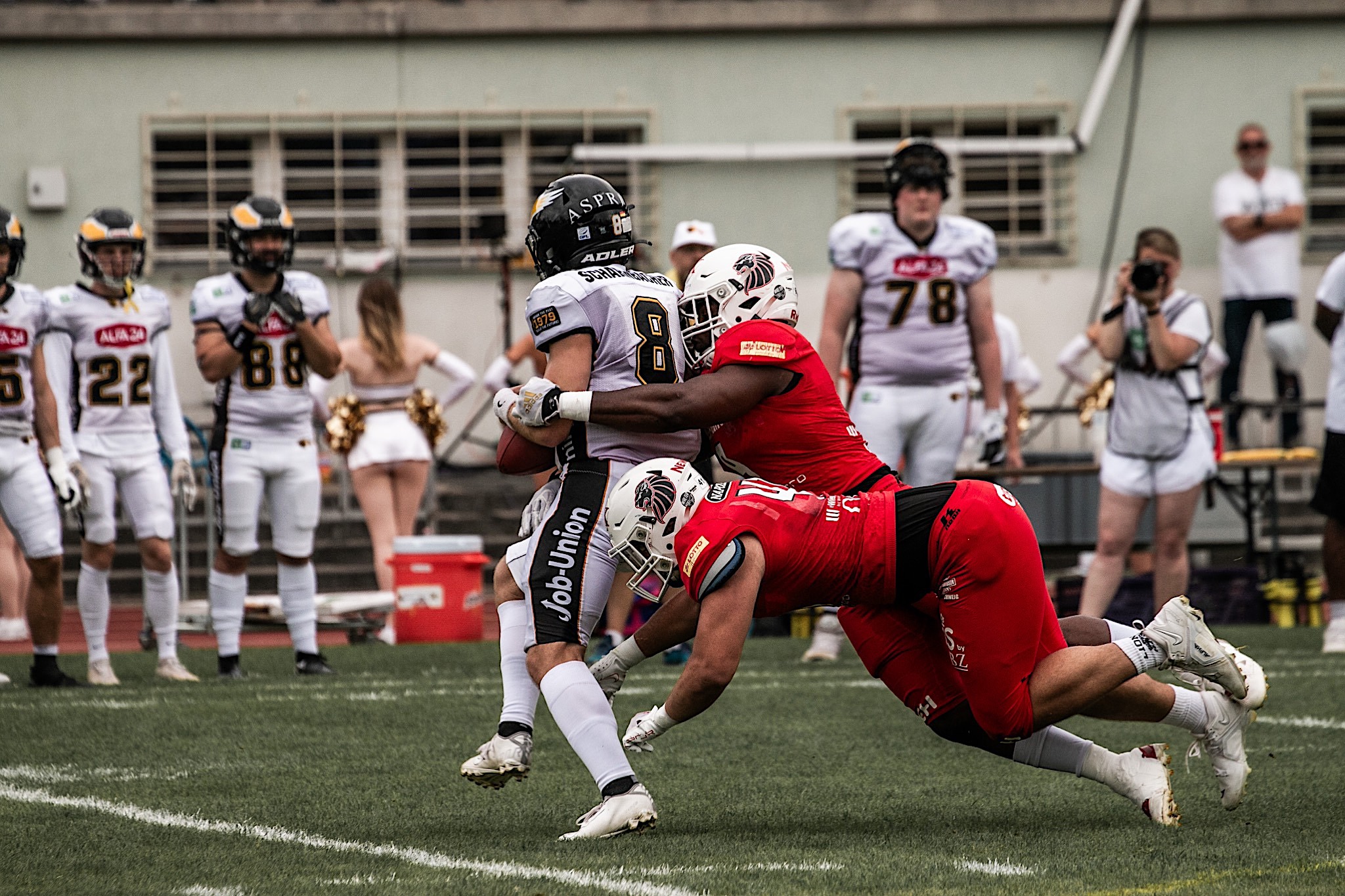Die Defense der Lions war nicht zu überwinden - Foto: Fabian Uebe