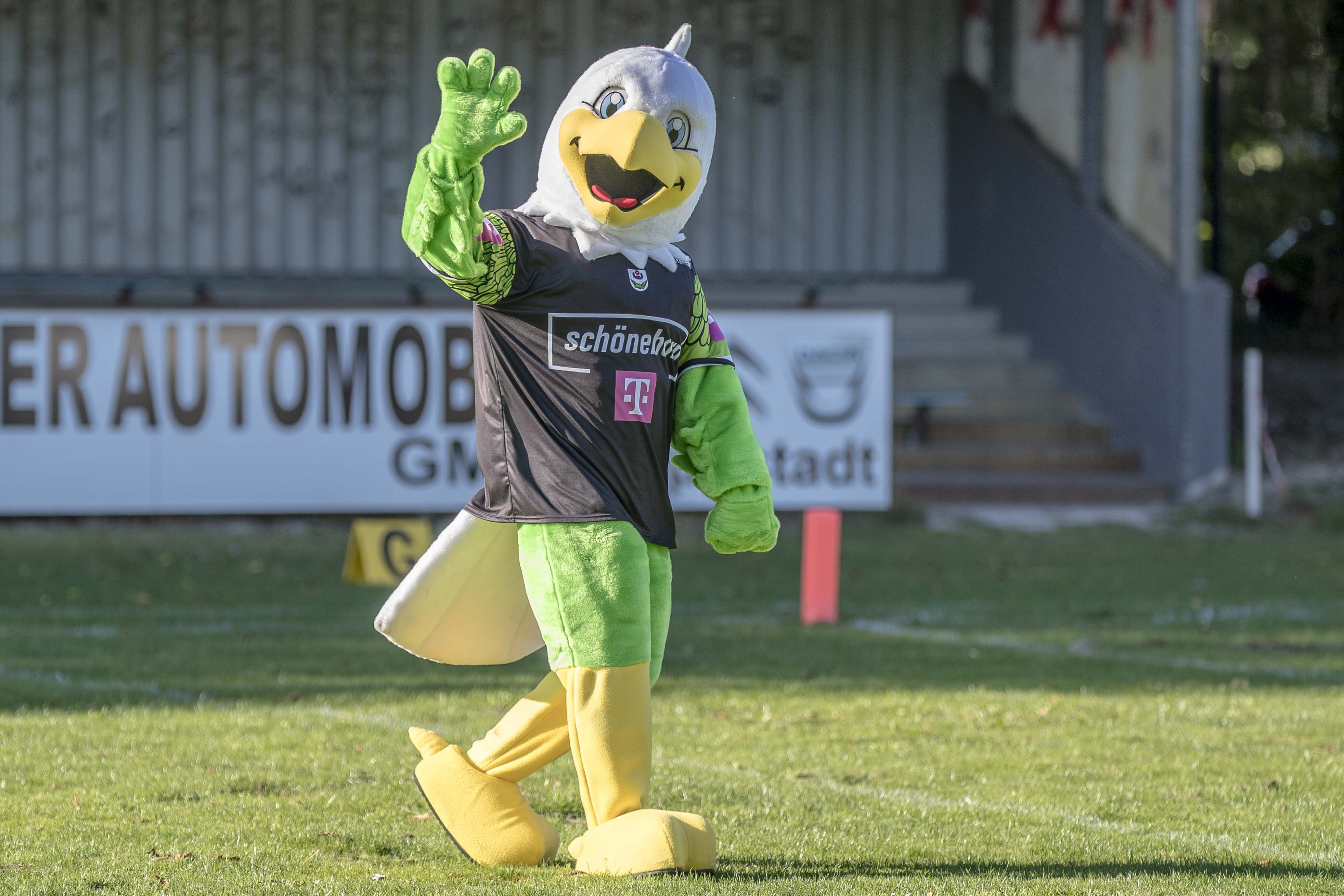 Maskottchen der Lippstadt Eagles - Bernie - wurde beim Spiel offiziell vorgestellt (Foto: Oliver Jungnitsch)