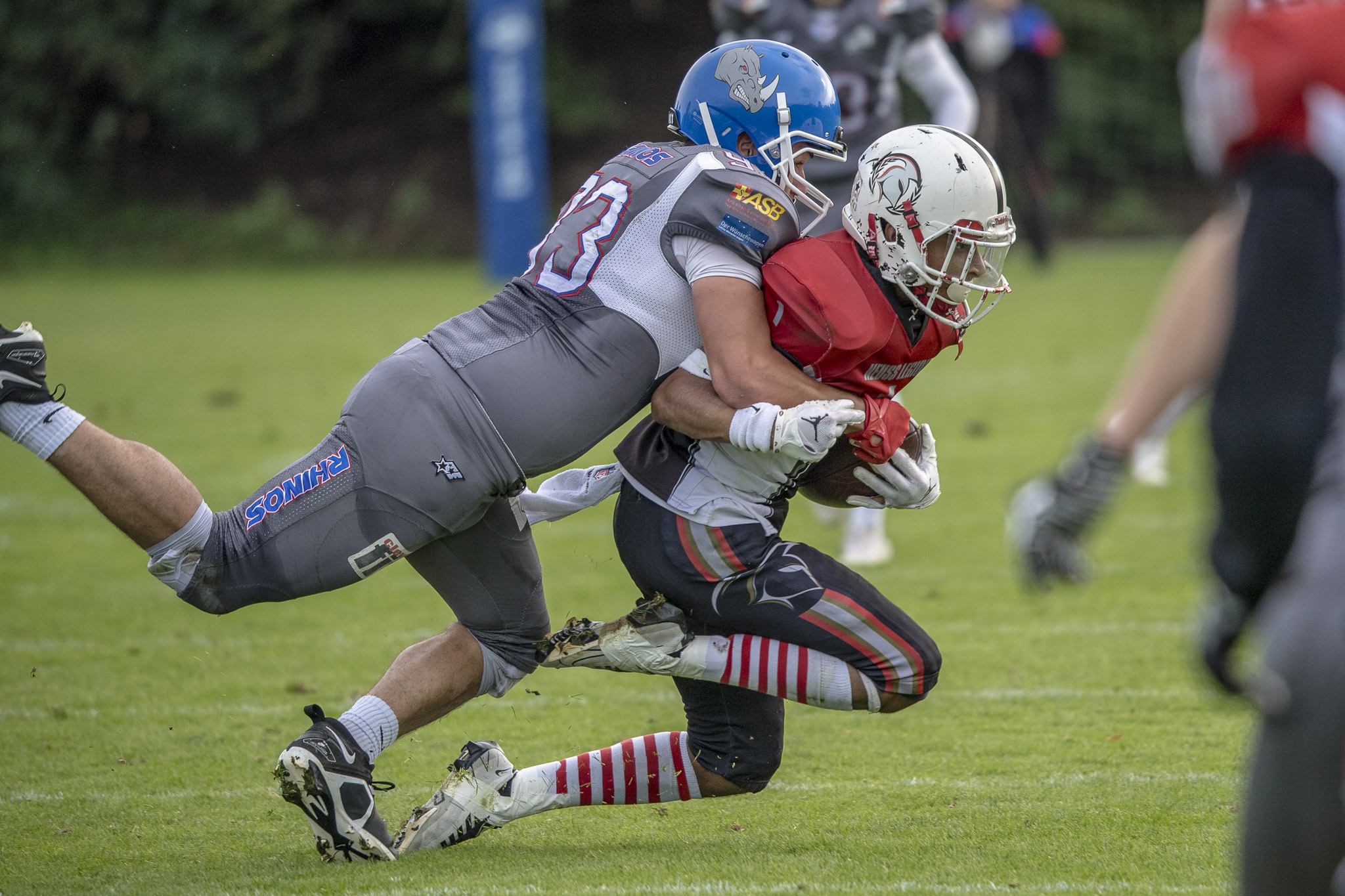 Neuss feiert Meisterschaft, doch Rhinos beeindrucken mit starkem Neustart - Foto: Oliver Jungnitsch