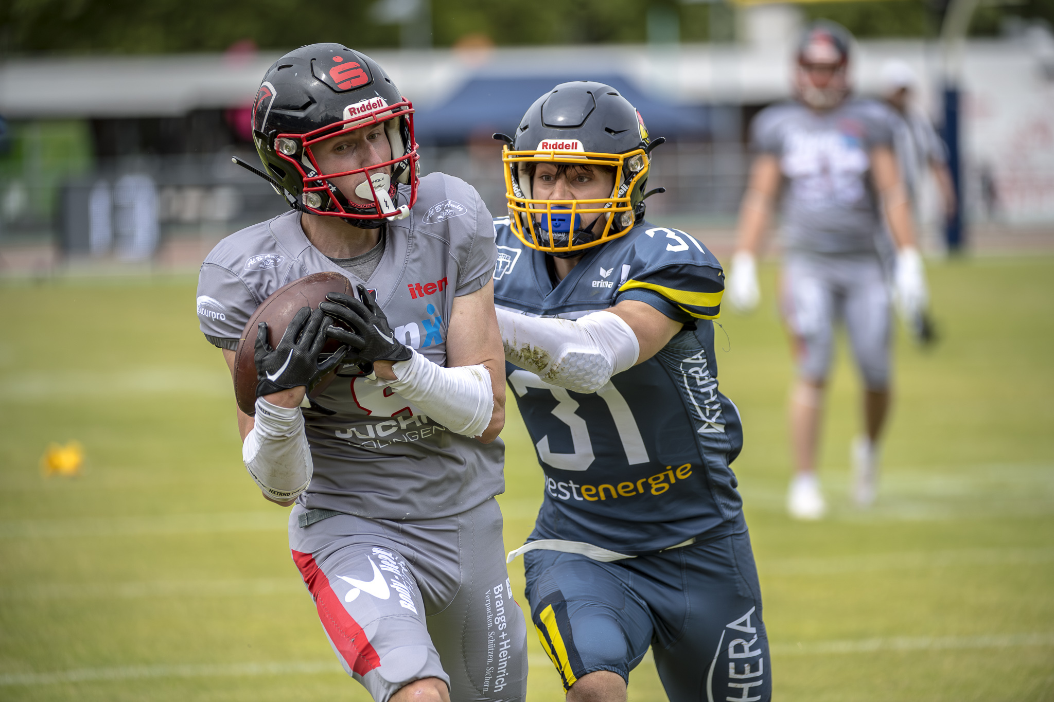 Die Assindia Cardinals empfangen die Solingen Paladins - Oliver Jungnitsch