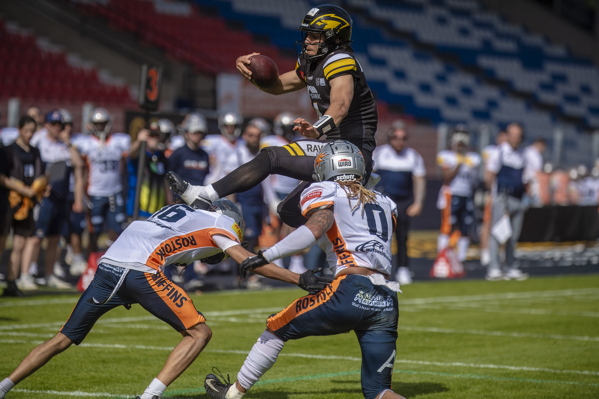 Ravens setzen Ausrufezeichen im Aufstiegsrennen – 41:21 gegen Rostock Quarterback Christian Arrambide sorgte mit eigenen Läufen für den Erfolg der Ravens - Foto: Oliver Jungnitsch
