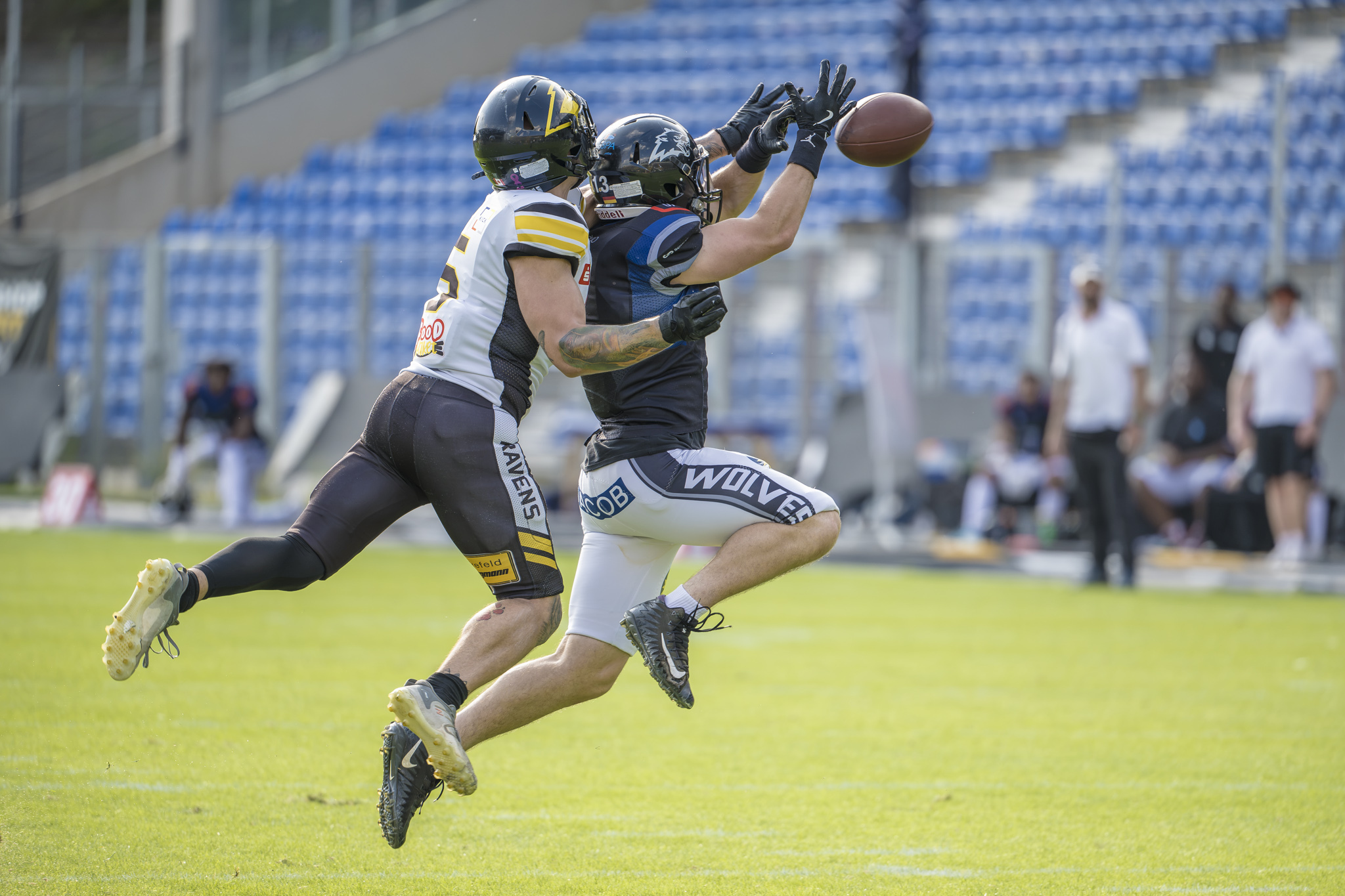 Wolves verkaufen sich beim Spitzenreiter teuer – Krefeld bleibt ungeschlagen Die Minden Wolves ziehen sich als Gast von Tabellenführer Krefeld Ravens beim 18:48 gut aus der Affäre - Foto: Oliver Jungnitsch