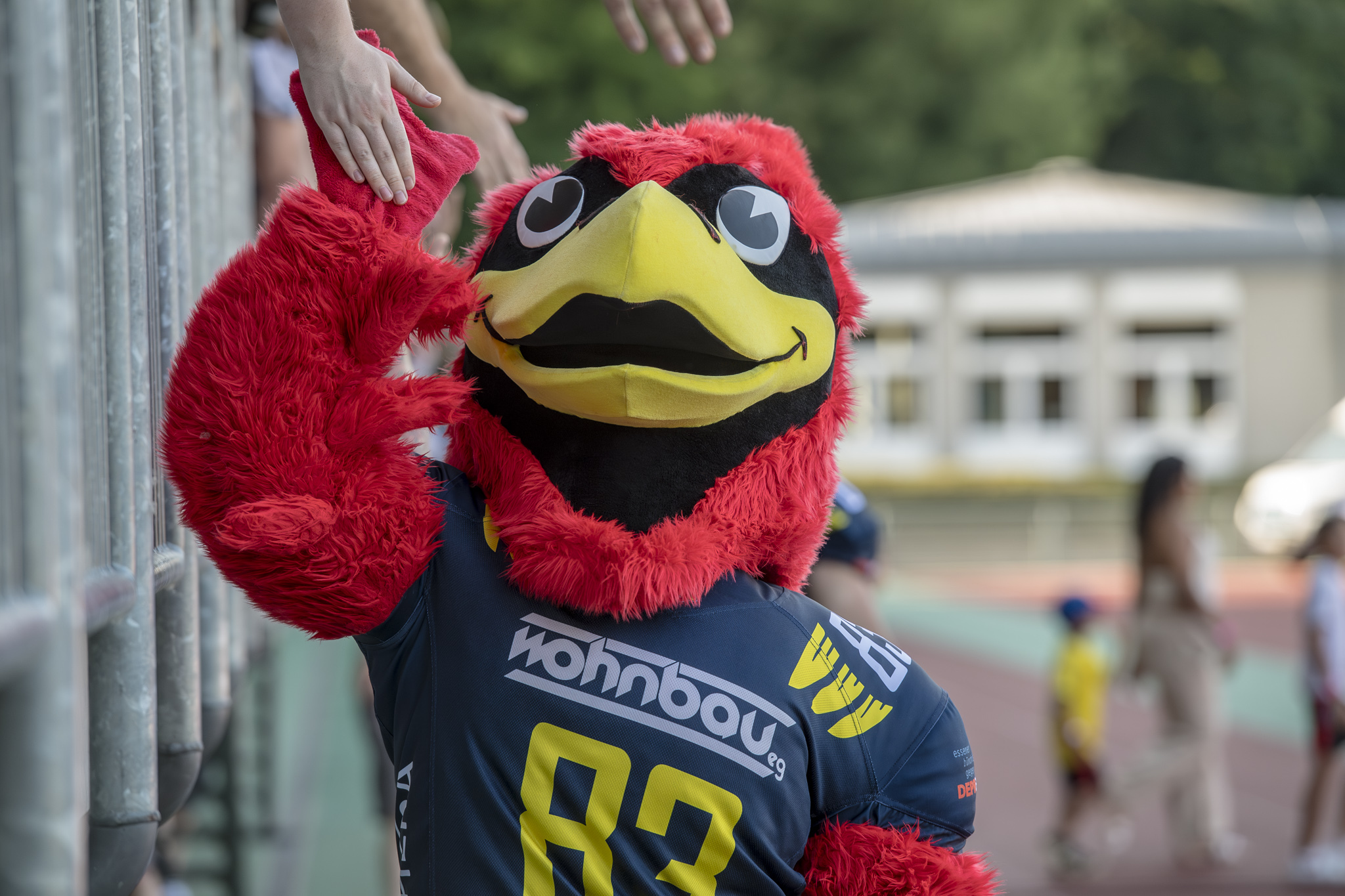Wohnbau Assindia Cardinals: Men in Blue starten 2026 in der Regionalliga NRW - Foto: Oliver Jungnitsch